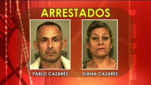 Organizadores De Peleas De Gallos Reciben Cargos item-thumbnail