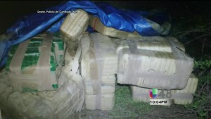 Decomisan Mas De Mil Libras De Marihuana En El Condado Starr item-thumbnail