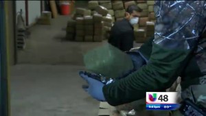 Autoridades Incineran Mas De 2,000 Lbs. De Marihuana item-thumbnail