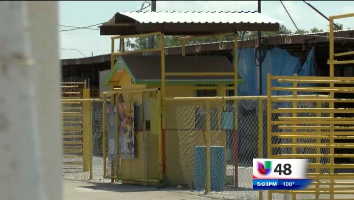 noticias noticias entravision